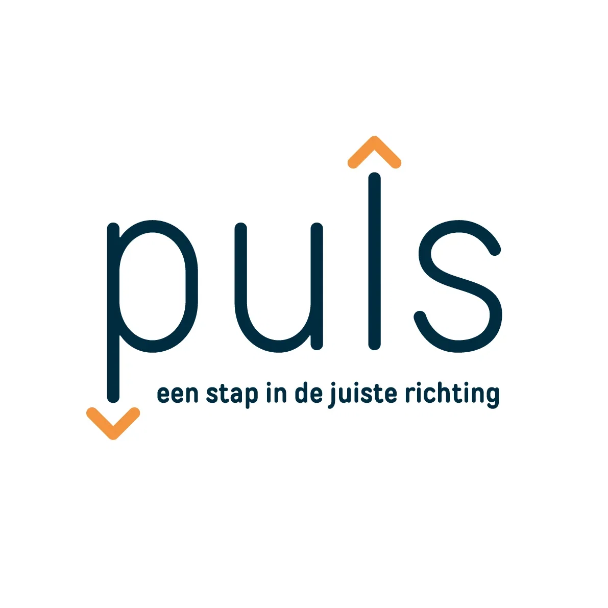 Maak kennis met Puls