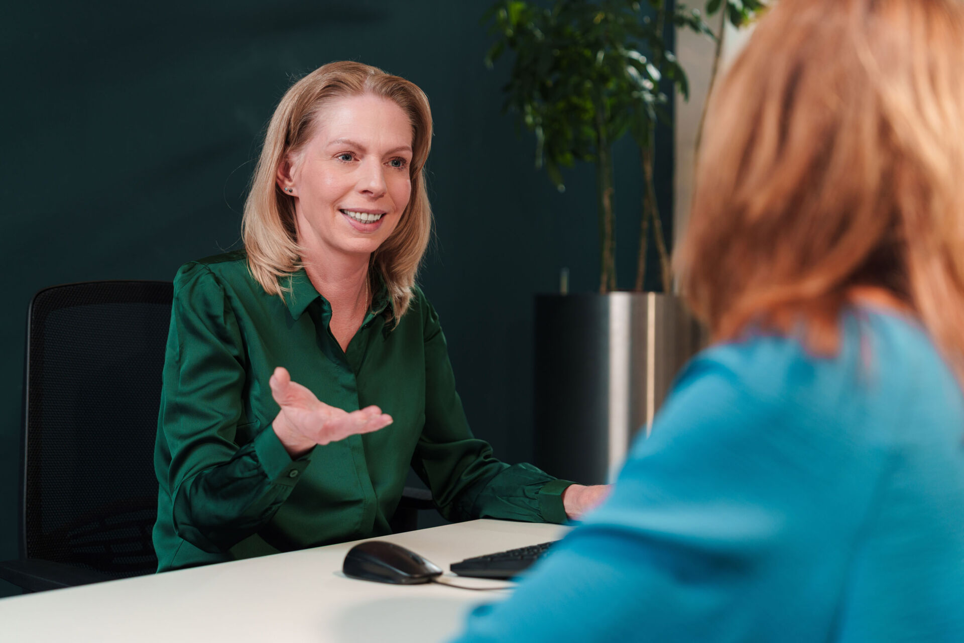 PDG Paradigma ’25-84