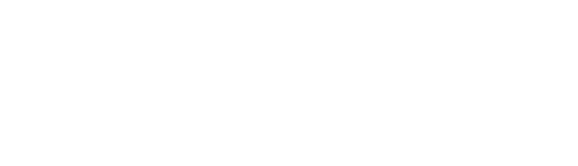 paraDIGMA groep