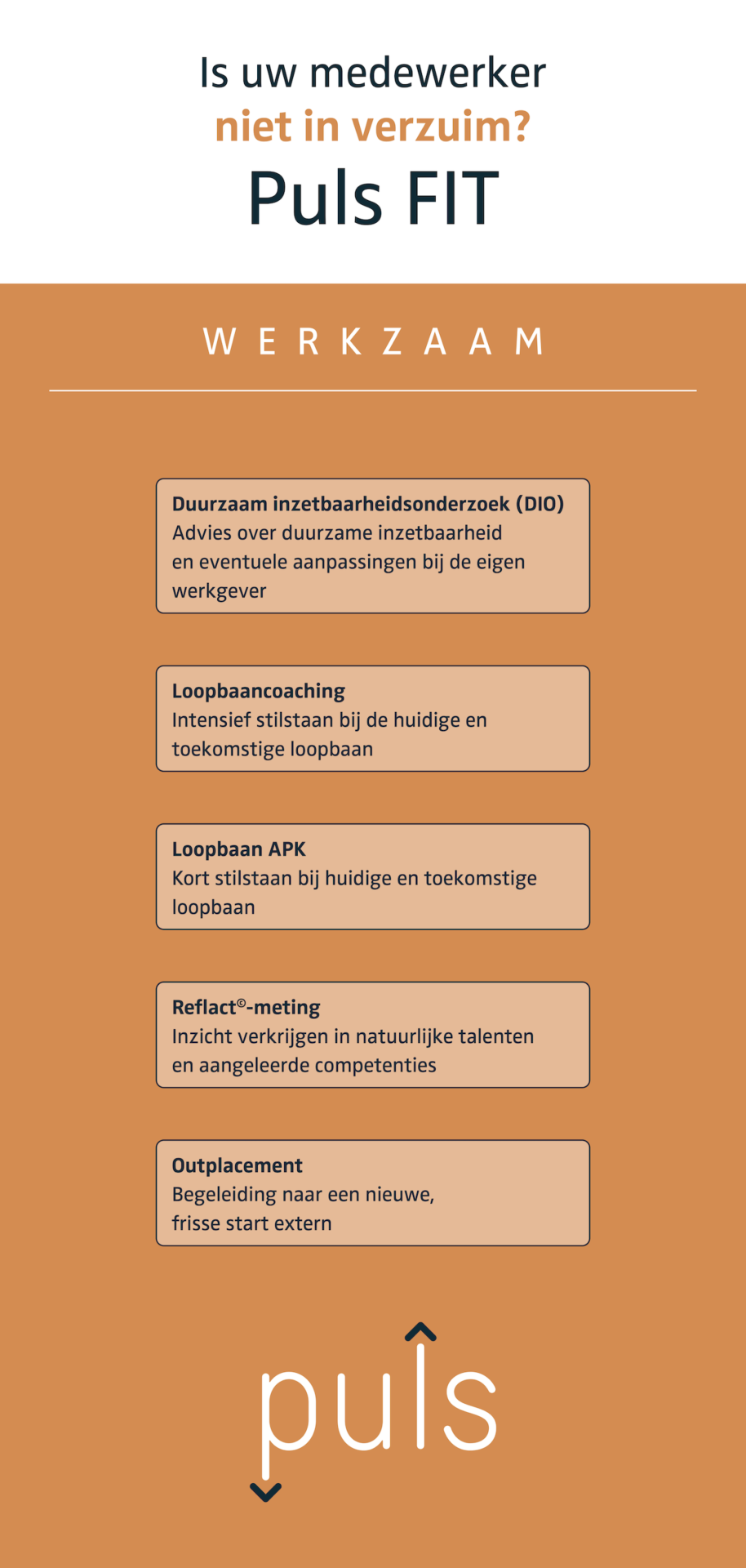 Puls_Tijdlijn_02 Puls