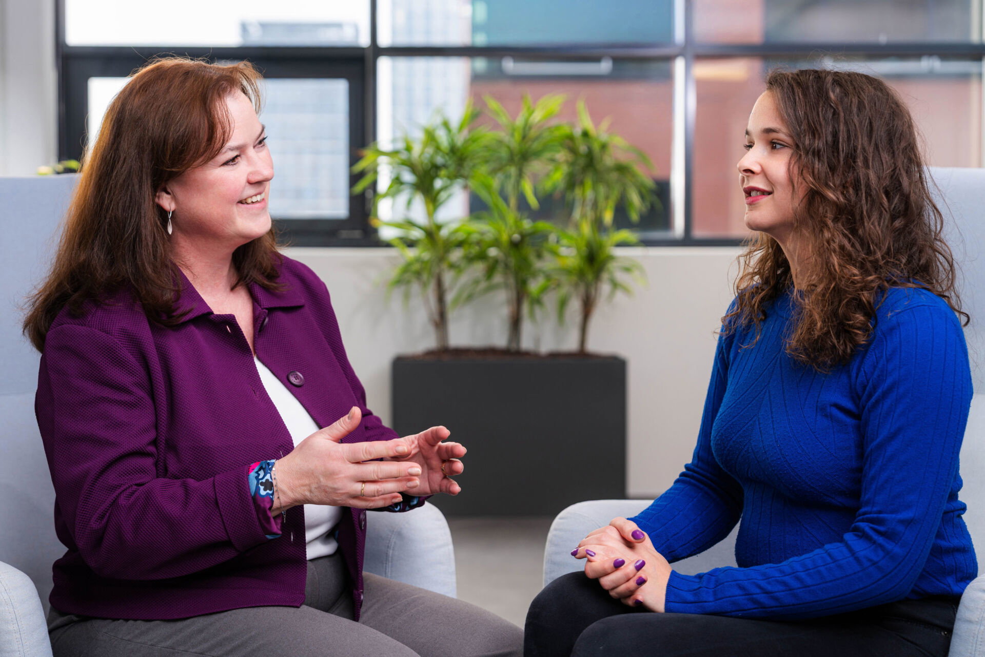 Paradigma Sazyes ’26-95